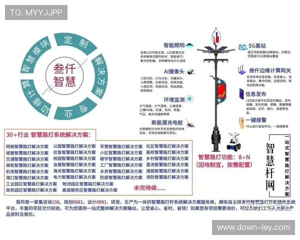 用户等级与特权体系可视化，成就感知驱动进阶意愿