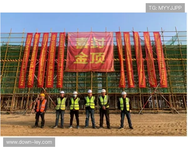 标准化建设在本周期取得关键进展，促进模块化组件互通互联