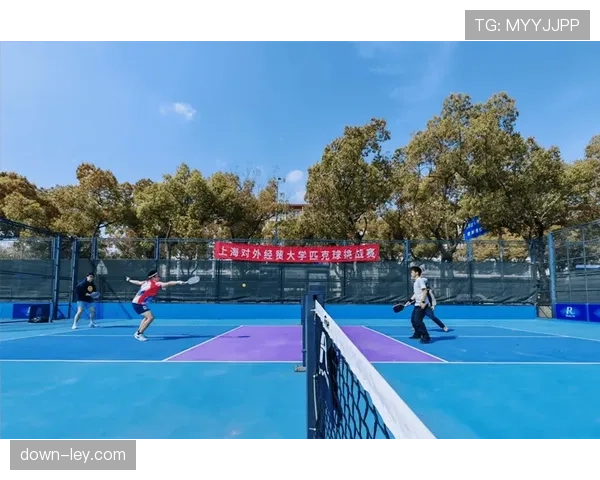 珠海市政协委员建议打造-匹克球之都-，推动运动进校园和打造赛事